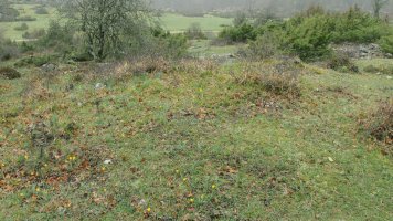 Itaida V tumulua, Entzia