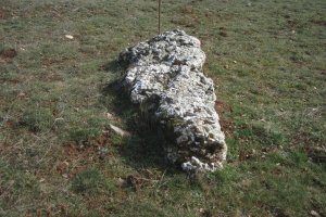 Monolito El Pelado de Aletxa (Febrero 2020)