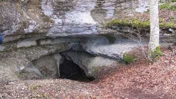 Las Armas koba, Entzia