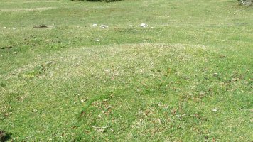 Itaida VII etxola hondoa, Entzia