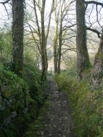 San Martin aldera abiatzen den PR bidea