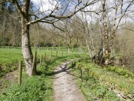 Ergoiena eta San Gregorio arteko bidea