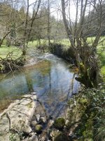 Ergoiena eta San Gregorio arteko bidea