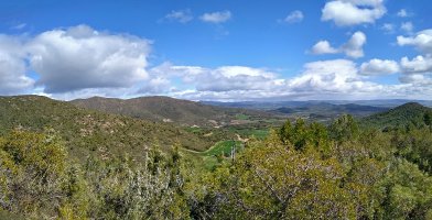 Psisaia zabalak gainaldetik