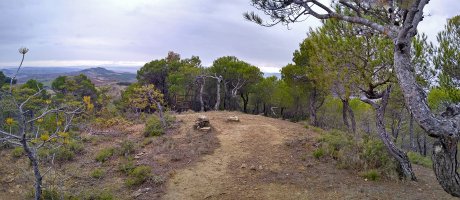 Tako geodesikoa gailurretik hurbil