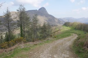 Aritxulegi aldeko bidea