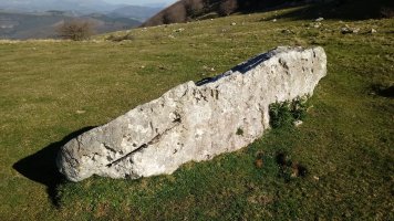 Lizarraga zutarria 2