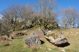 Manteleko Harkaitzak