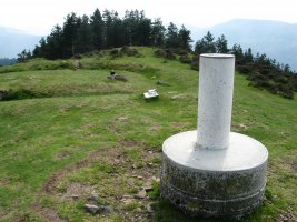 Erpin  geodesikoa, Onddo.