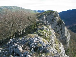 Tontorra mendebaldetik