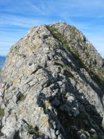 Intzartzu: tontorra ekialdetik