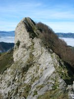 Intzarzu: azken txanpa ekialdetik