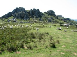 Urrezti aldeko muinoak eta harkaitzak