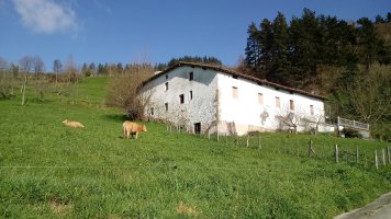 Baserria Antzuola aldetiko igoeran