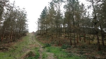 Gaztelu Aitz (705m) azken malda