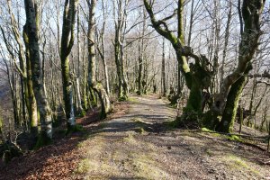 Mugarrietatik behera