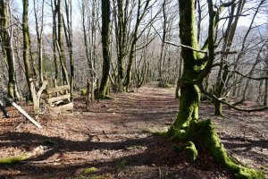 Mugarrietatik behera