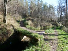 Ameraungo kanaletik igotzen den bidearen hasiera