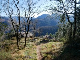 Begiratoki ederra, Leitzaran aldeko burkail batean