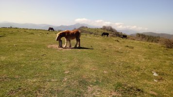 Lagarte (811m) tontorra