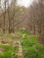 Mendibizkarreko bidea