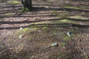 Círculo Atxuko Aldai (Dudoso)  Abril 2021