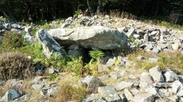 Arrobigaña trikuharria