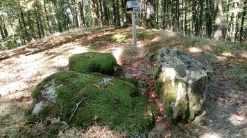 Beigañe trikuharria