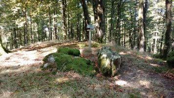 Beigañe trikuharria (2020)