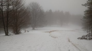 Arrola (904m) tontorrera bidean