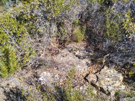 Tako geodesikoa Salado gainean