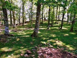 Arlamendiko Mintegia