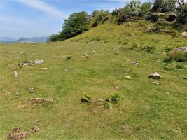 Arleorko Zabala Mairubaratzak