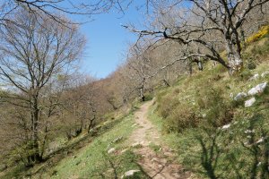 Igoera Hernialde aldetik