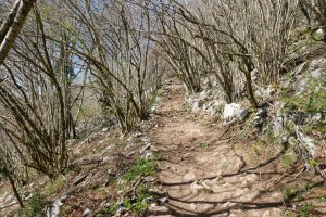 Igoera Hernialde aldetik