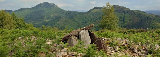 Sagastietako Lepua I Trikuharria