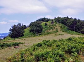 Sagastietako Lepotik