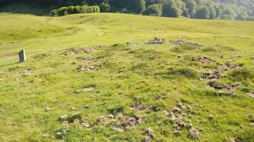 Deguria III tumuloa (2021)