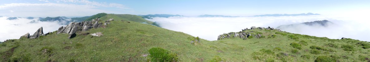 Munazorrotz tontorra