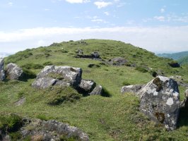 Munazorrotz tontorra