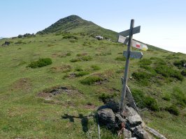 Munazorrotz Soratxipi aldeko lepotik