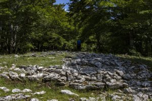 Eraztuna eta txabola Senda de Arroniz