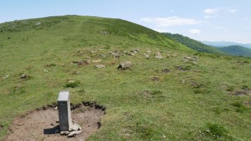 Axexuluta tumulua HMko bizkarrean