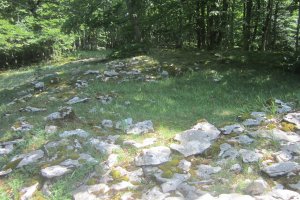 Túmulo Anular Senda de Arroniz  (Junio 2021)