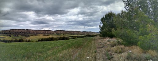 Sastre gaineko gailurra