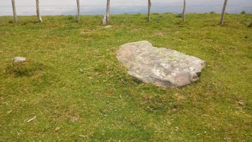 Argibel zutarria (2021)