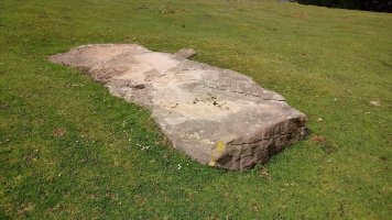 Larrebeltz zutarria (2021)