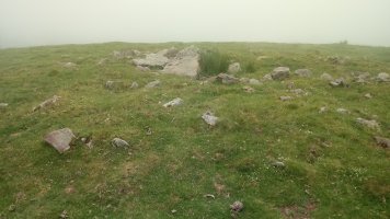 Luurzu I Erdi trikuharria