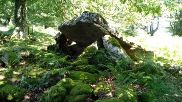 Erroldan trikuharria (2021)