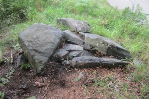 Cista Arbotante II  (Julio 2021)